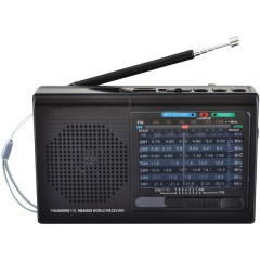 9-Band Rechargeable Bluetooth(R) Radio with USB/SD(TM) Card Input (Black)