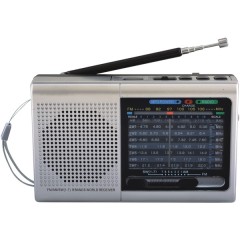 9-Band Rechargeable Bluetooth(R) Radio with USB/SD(TM) Card Input (Silver)