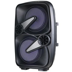 2 x 6.5-Inch Speaker with True Wireless Technology (Gray)