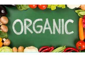 6 Organic Products to try instead of chemical rich products